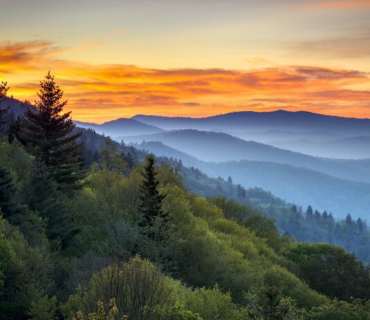 그레이트 스모키 마운틴 국립공원 (Great Smoky Mountains)