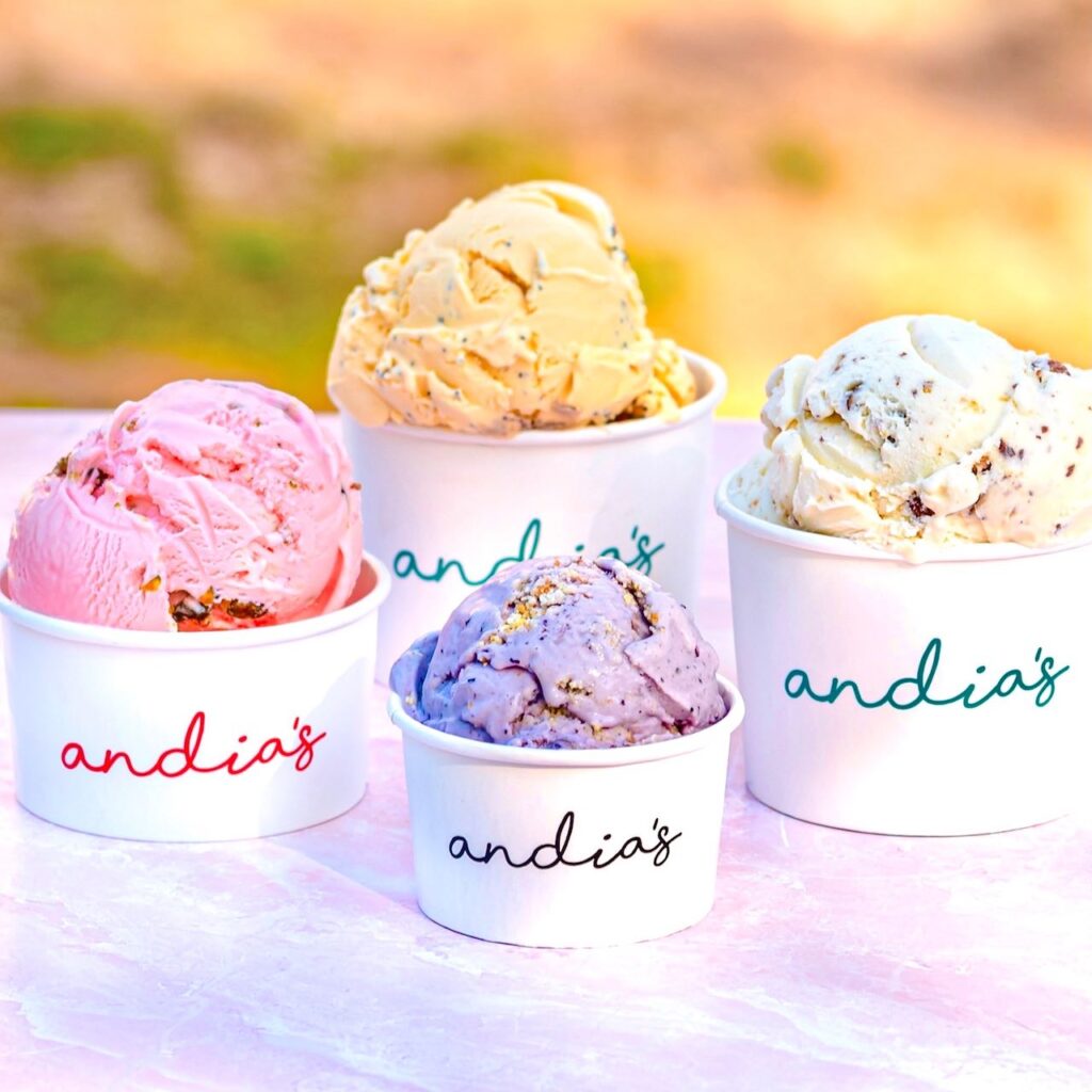 Andia’s Homemade Ice Cream (앤디아스 홈메이드 아이스크림)