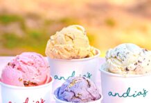 2025 노스캐롤라이나 아이스크림 최고의 가게 추천(랄리/더럼)