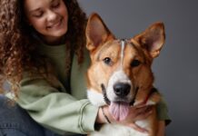 노스캐롤라이나 강아지 분양받는 방법 5가지 (입양 절차부터 주의사항까지)