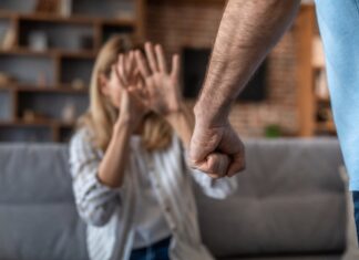 노스캐롤라이나 가정폭력 살인 역대 최다기록