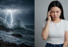 노스캐롤라이나 허리케인 시즌되면 왜 머리가 아플까요?