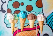 2025 노스캐롤라이나 아이스크림 최고의 가게 추천(샬롯)