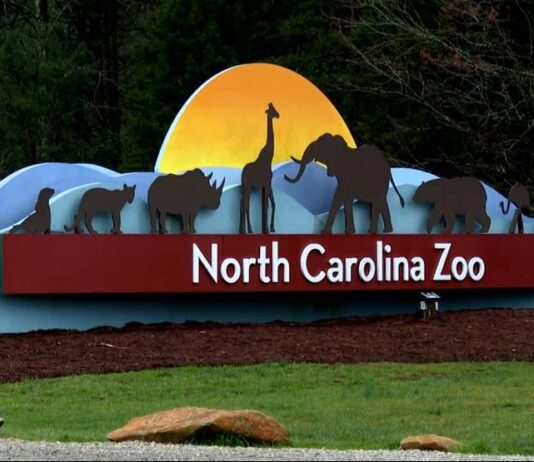 노스캐롤라이나 동물원 (North Carolina Zoo)