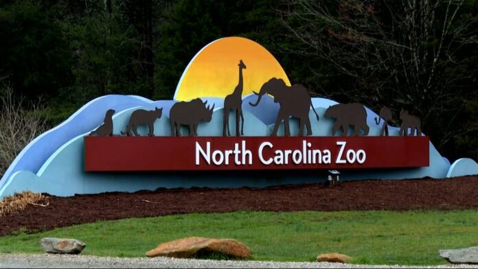 노스캐롤라이나 동물원 (North Carolina Zoo)