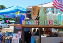 노스캐롤라이나 301 Endless Yard Sale, 무려 100마일 벼룩시장 축제