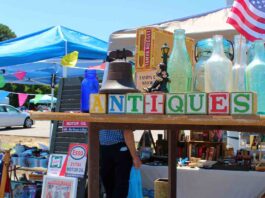 노스캐롤라이나 301 Endless Yard Sale, 무려 100마일 벼룩시장 축제