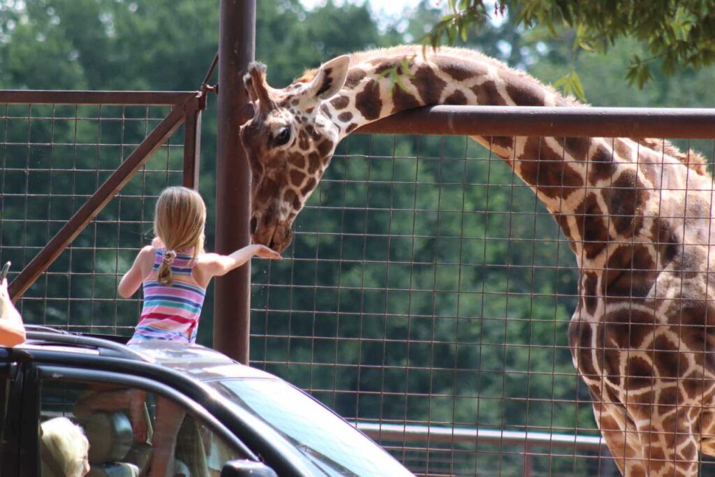 노스캐롤라이나 Lazy 5 Ranch
