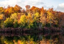 노스캐롤라이나 2025년 단풍 명소 7선과 절정 시기 가이드