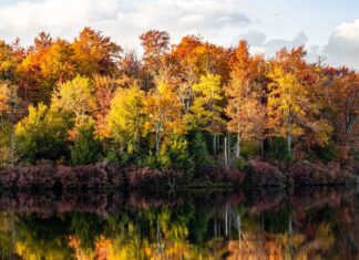 노스캐롤라이나 2025년 단풍 명소 7선과 절정 시기 가이드