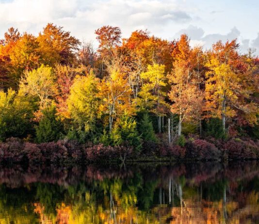 노스캐롤라이나 2025년 단풍 명소 7선과 절정 시기 가이드
