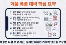 노스캐롤라이나 겨울 폭풍 정전 대비법