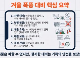 노스캐롤라이나 겨울 폭풍 정전 대비법