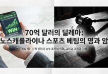 노스캐롤라이나 스포츠 베팅 합법화, 양날의 검인가?