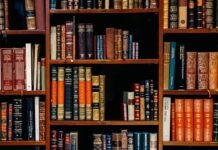 엘리자베스 시티주립대, 맥킨지 스콧으로부터 4,200만 달러 기부금 받아 assorted-title of books piled in the shelves