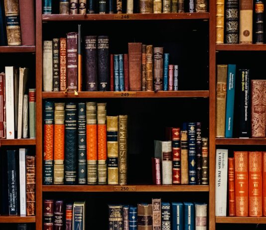 엘리자베스 시티주립대, 맥킨지 스콧으로부터 4,200만 달러 기부금 받아 assorted-title of books piled in the shelves