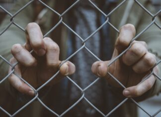 2026년 ICE 구금 시설에서의 사망 사건 증가, NC 한인도 주의 필요 person behind mesh fence