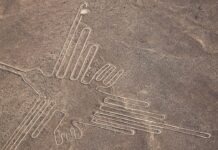 인공지능이 밝혀낸 페루 나스카 라인의 비밀 페루 나스카 사막의 고대 지상화와 AI 기술 분석 이미지