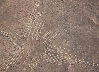 인공지능이 밝혀낸 페루 나스카 라인의 비밀 페루 나스카 사막의 고대 지상화와 AI 기술 분석 이미지
