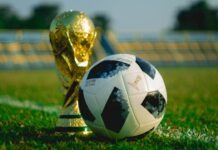 2026 월드컵 일정과 개최지, NC에서 경기 관람하는 방법 soccer ball beside trophy on soccer field