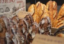 애쉬빌 빵 축제 2027, NC 한인 가족을 위한 봄 나들이 완벽 가이드 2027년 애쉬빌 빵 축제, 프렌치 브로드 강 강변에서 펼쳐지는 수공예 빵 박람회