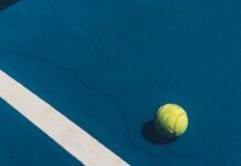 샬롯이 2027 WTA 파이널스 유치 최종 후보 선정, NC 한인에게 미치는 영향 yellow tennis ball on court