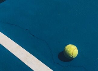 샬롯이 2027 WTA 파이널스 유치 최종 후보 선정, NC 한인에게 미치는 영향 yellow tennis ball on court