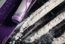 그린스보로 마약 범죄 적발, 대규모 펜타닐과 불법 총기 압수 purple and black plastic bottle