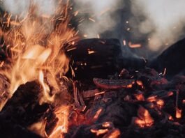 NC 소각금지령 위반 244건 적발, 한인 주민들이 알아야 할 사항 tilt-shift lens photography of fire ember