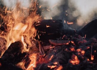 NC 소각금지령 위반 244건 적발, 한인 주민들이 알아야 할 사항 tilt-shift lens photography of fire ember