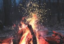 노스캐롤라이나 소각 금지령, NC 한인들이 알아야 할 사항 bonfire on forest