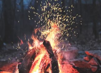 노스캐롤라이나 소각 금지령, NC 한인들이 알아야 할 사항 bonfire on forest