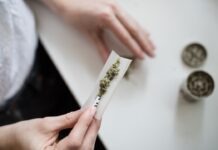 노스캐롤라이나 대마초 규제, 한인 커뮤니티가 알아야 할 현황 person making cannabis joint