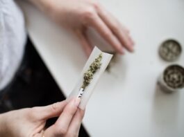 노스캐롤라이나 대마초 규제, 한인 커뮤니티가 알아야 할 현황 person making cannabis joint