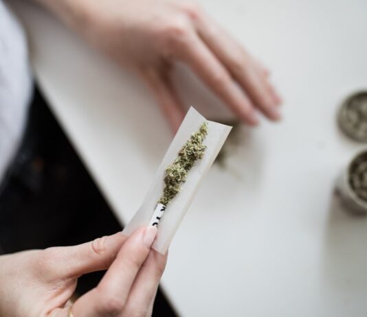 노스캐롤라이나 대마초 규제, 한인 커뮤니티가 알아야 할 현황 person making cannabis joint