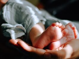노스캐롤라이나 영유아 사망률 8.7% 감소, 한인 가정이 알아야 할 보건 뉴스 person holding baby feet