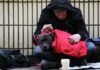 노스캐롤라이나 노숙자 캠핑 금지법, 주지사 거부권 행사한 이유는 dog on top of person's lap while sitting on ground at daytime