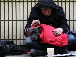 노스캐롤라이나 노숙자 캠핑 금지법, 주지사 거부권 행사한 이유는 dog on top of person's lap while sitting on ground at daytime