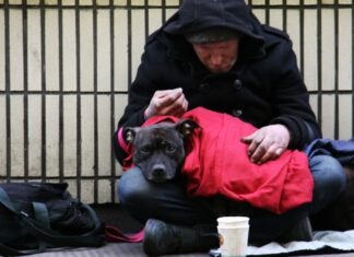 노스캐롤라이나 노숙자 캠핑 금지법, 주지사 거부권 행사한 이유는 dog on top of person's lap while sitting on ground at daytime