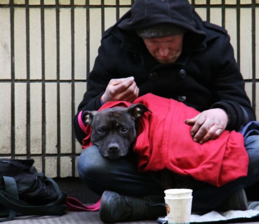노스캐롤라이나 노숙자 캠핑 금지법, 주지사 거부권 행사한 이유는 dog on top of person's lap while sitting on ground at daytime