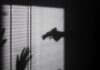 노스캐롤라이나 총격 사건, 캐스웰카운티 일가족 참변 silhouette of person on window